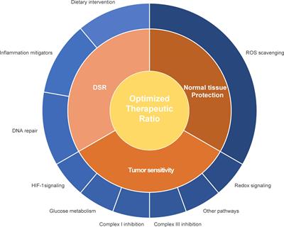 Metabolic Rewiring in Radiation Oncology Toward Improving the Therapeutic Ratio